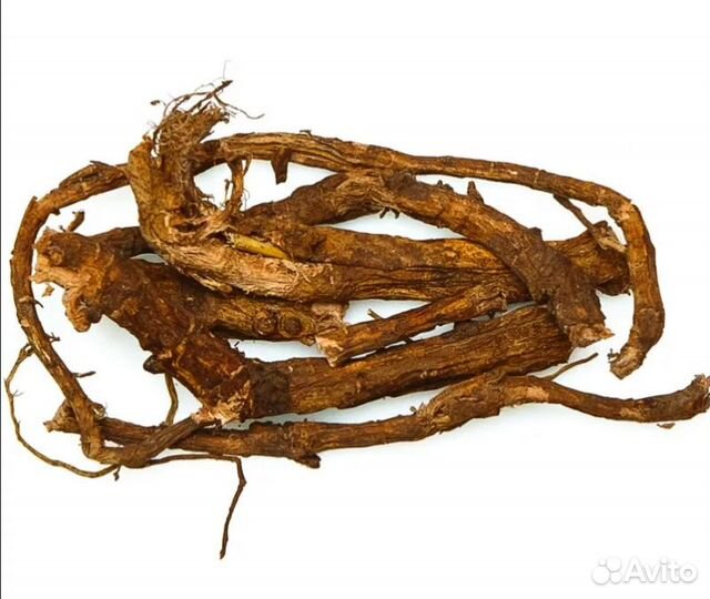 Красный корень для Мужчин (Алтайский)