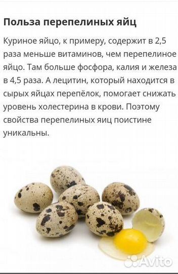 Яйца перепелиные