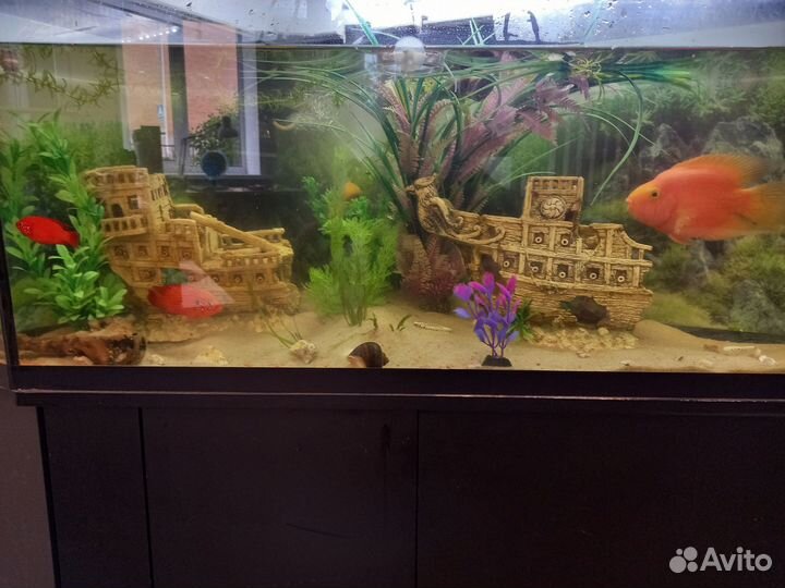 Аквариум с тумбой