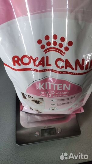 Сухой корм для котят