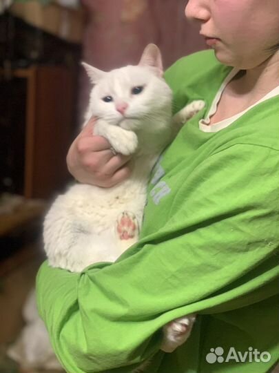 Подарите дом сироте