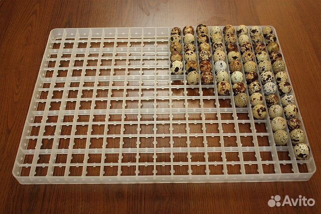 Сотовые лотки для яиц