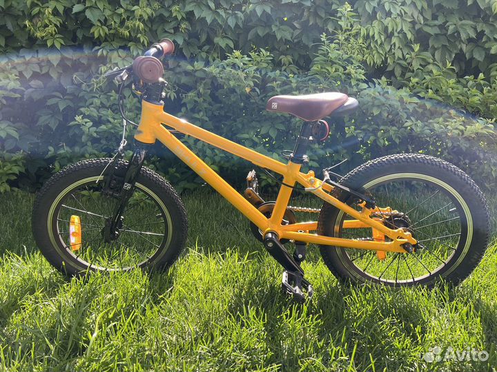 Shulz bubble 16 race