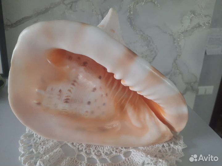 Декорации для аквариума продажа - обмен