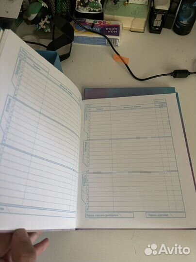 Дневник школьный