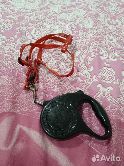 Поводок-рулетка для мелких пород собак