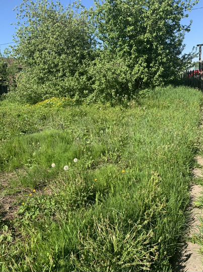 Дом 25,8 м² на участке 11,7 сот.