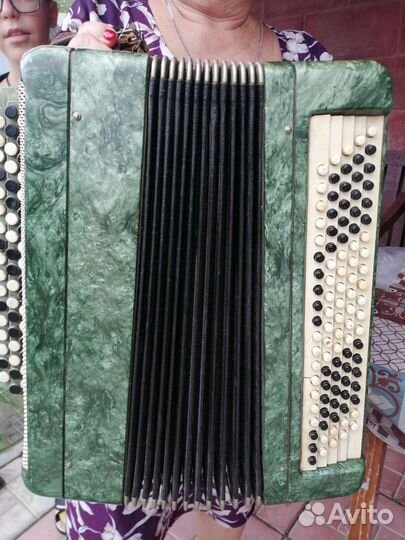 Баян тульский