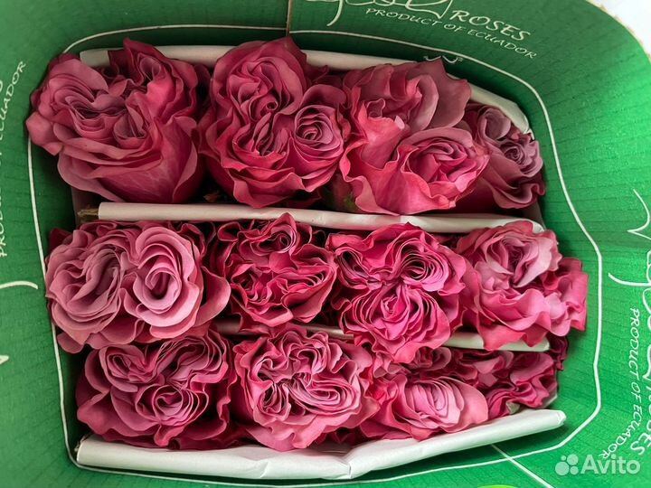 Розы,Хризантемы оптом