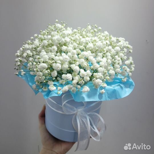 Букет из гипсофилы в коробке