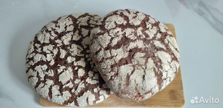 Ржаная закваска, молочный гриб