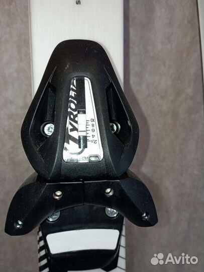 Горные лыжи