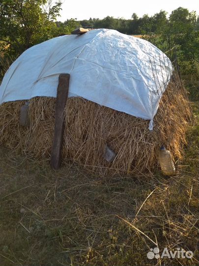 Сено 2023 Тюки Мешки