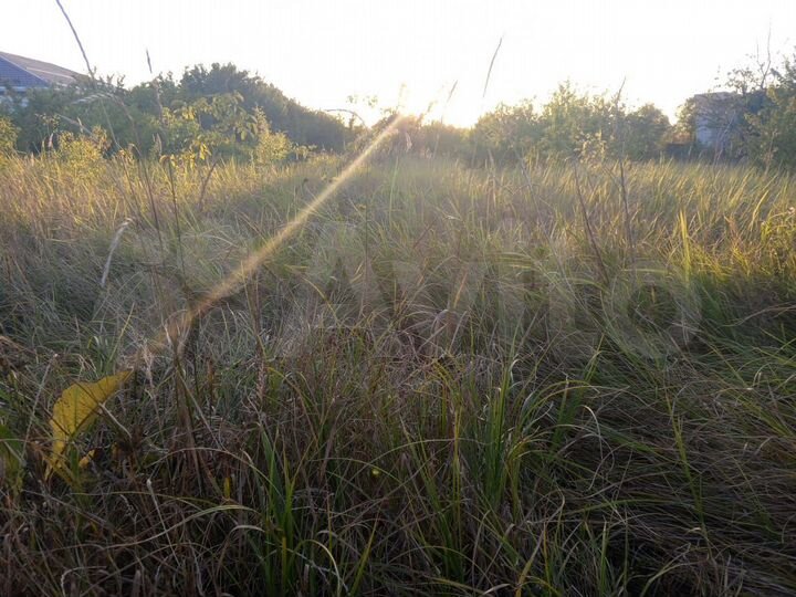 Участок 10 сот. (ИЖС)