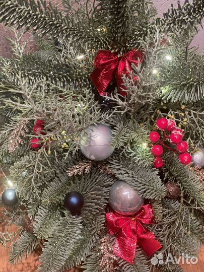 Ель новогодняя живая