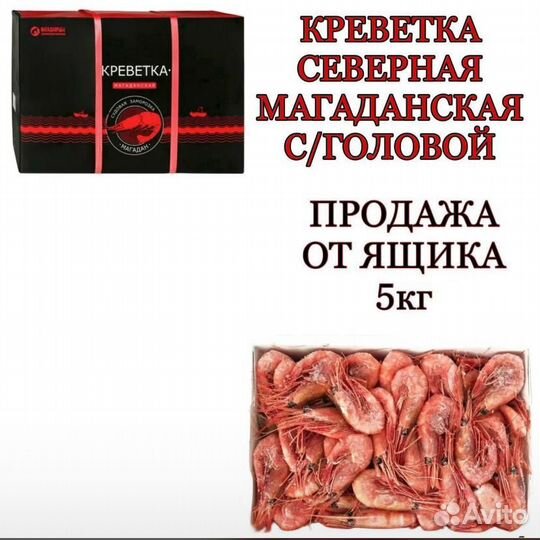 Магаданская северная креветка 80-100