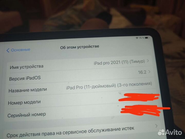 Apple iPad Pro 11 Wi-Fi + Cellular 256GB (2021)