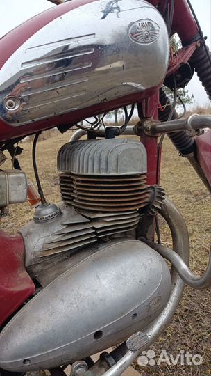 Ява старушка