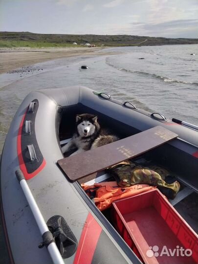 Продам либо обмен