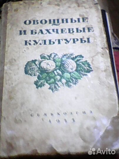 Овощные и бахчевые культуры 1955 год