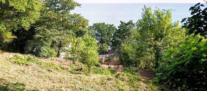 Участок 5,5 сот. (СНТ, ДНП)