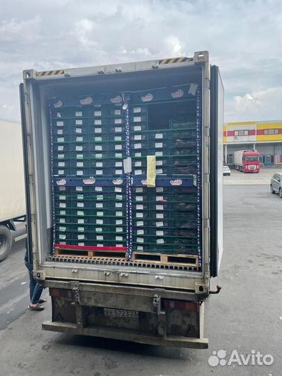 Ищу партнера - дистрибьютера