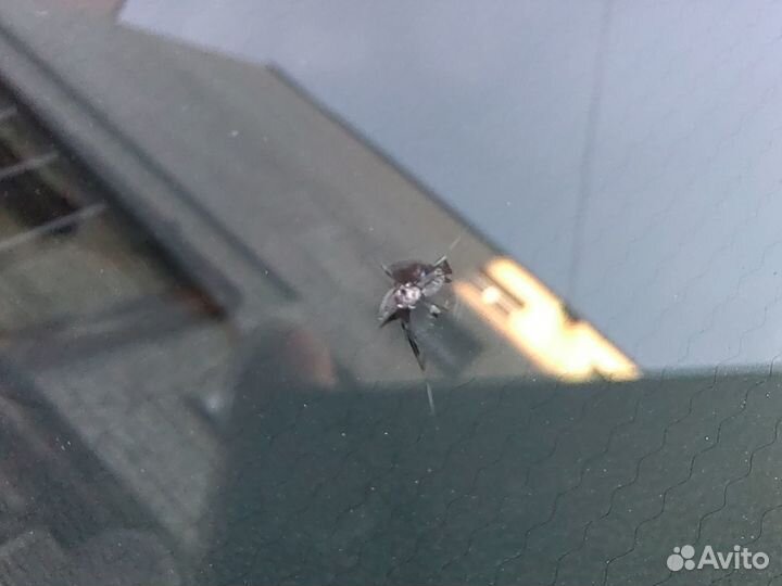 Ремонт лобового стекла, сколов и трещин автостекол