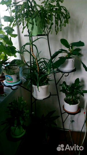 Подставка под цветы