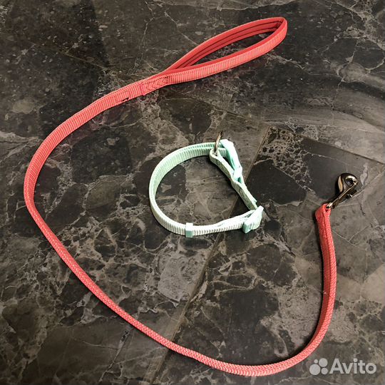 Амуниция для собак