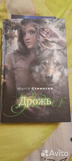 Мэгги Стивотер 