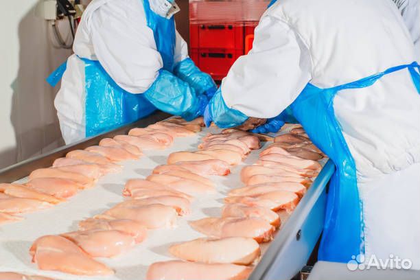 Фасовщики-упаковщики с проживанием в Ростове