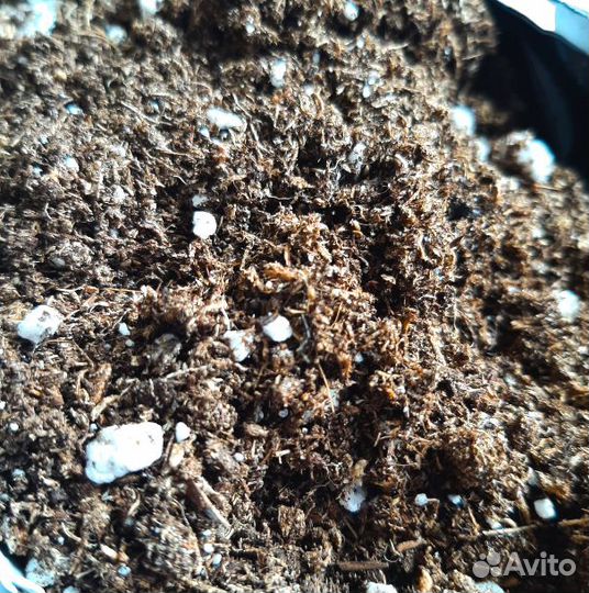 Торф с перлитом (аналог 419 Класманн)