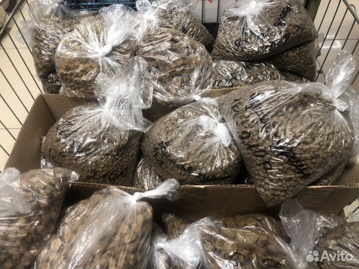 Сухой корм для кошек и собак