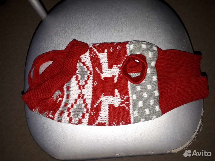 Вязальный костюмчик для собаки мелкой породы