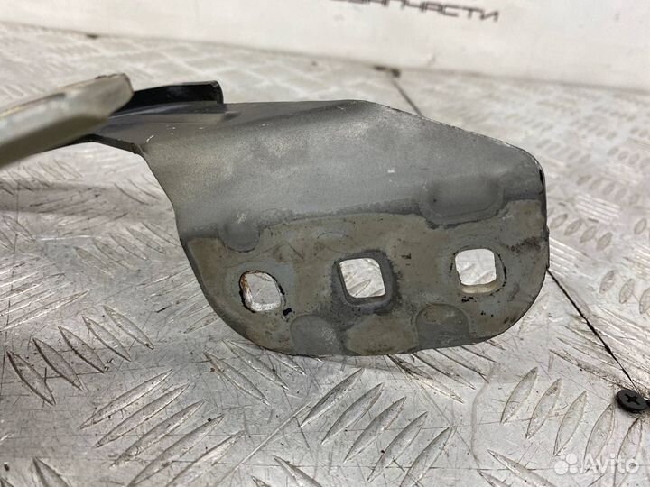 Б/У петля капота левый Ford Focus 3 CB8 iqdb 1.6Л