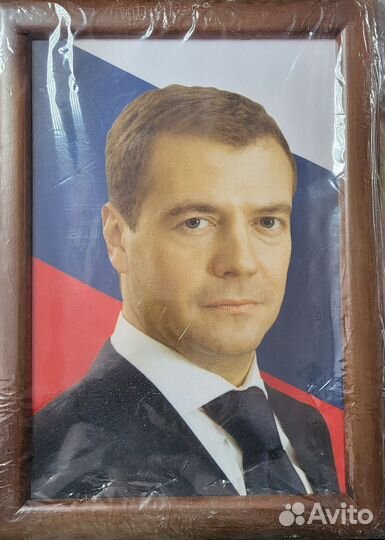 Портрет Путин В.В. Медведев Д.А