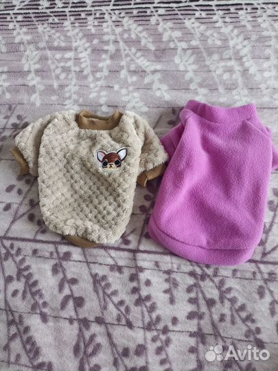 Вещи на маленьких собачек и щенков