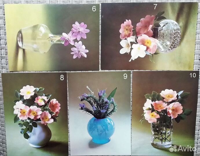 Foto:P.HudecPress/FotoBratislava