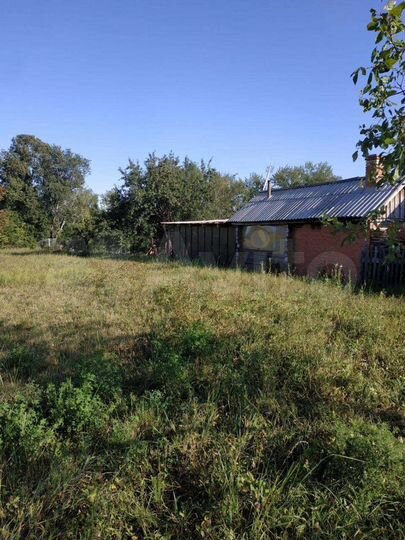 Участок 25 сот. (ИЖС)