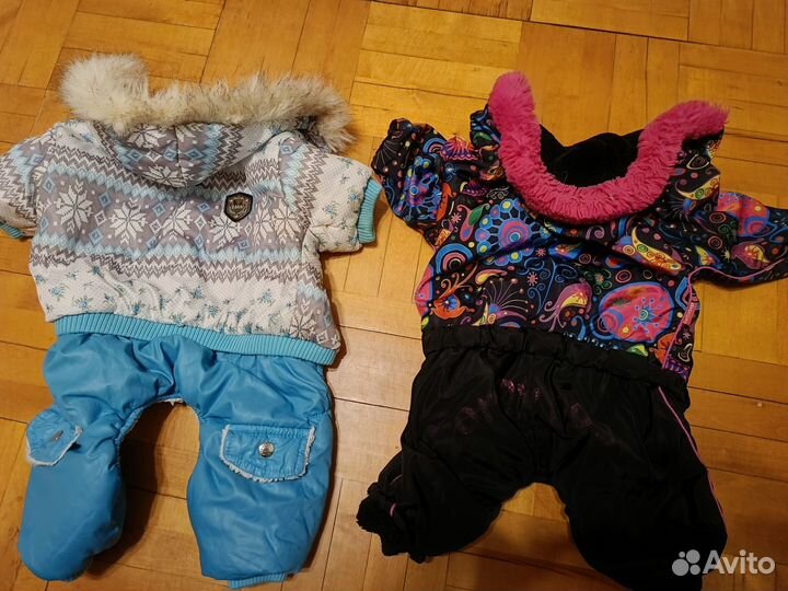 Костюмы для собачки