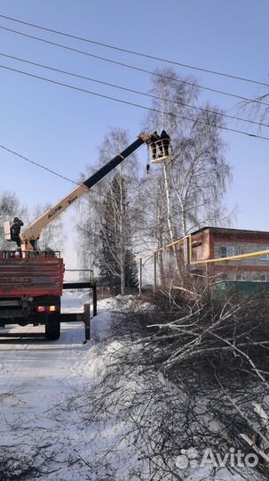 Спил деревьев утилизация веток и кустов