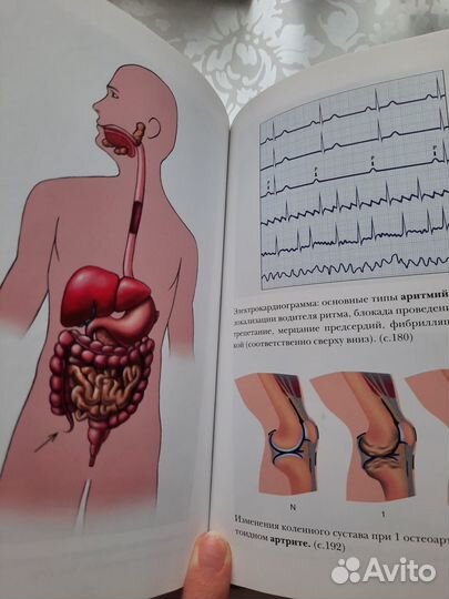 Медицинская энциклопедия