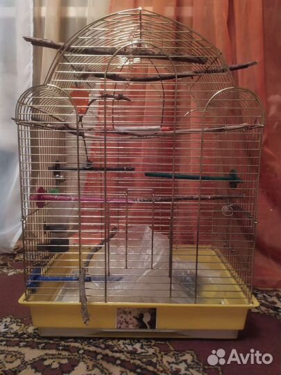 Клетка для попугаев
