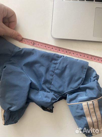 Дождевик для маленькой собаки