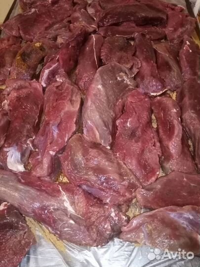 Домашняя бастурма из лосятины и конины