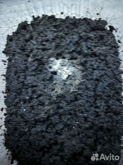 Живой корм для аквариумных рыбок