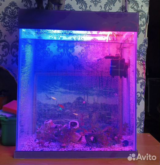 Аквариум