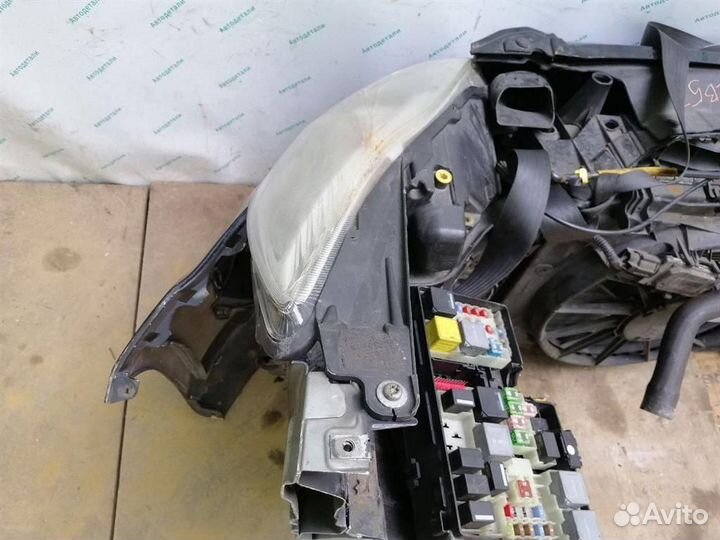 Ноускат (nose cut) Ford C-MAX 11-15 Ford C-MAX 11