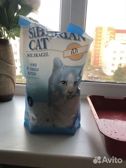 Лоток для кошек