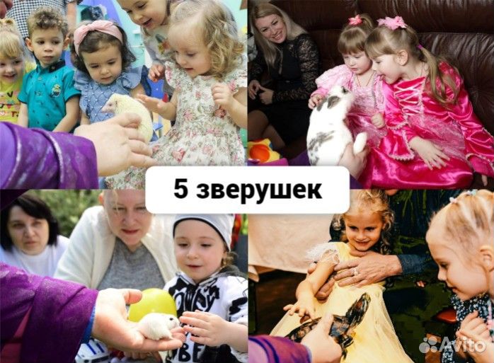 Фокусы с животными, Фокусник с кроликом, Аниматор